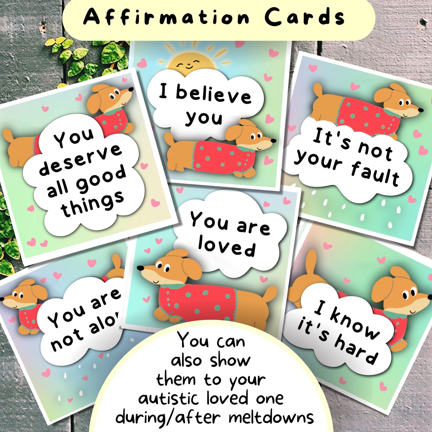 Dachshund Communication Cards and Affirmations Bundle (Autism, ADHD, Anxiety, Hidden Disabilities)