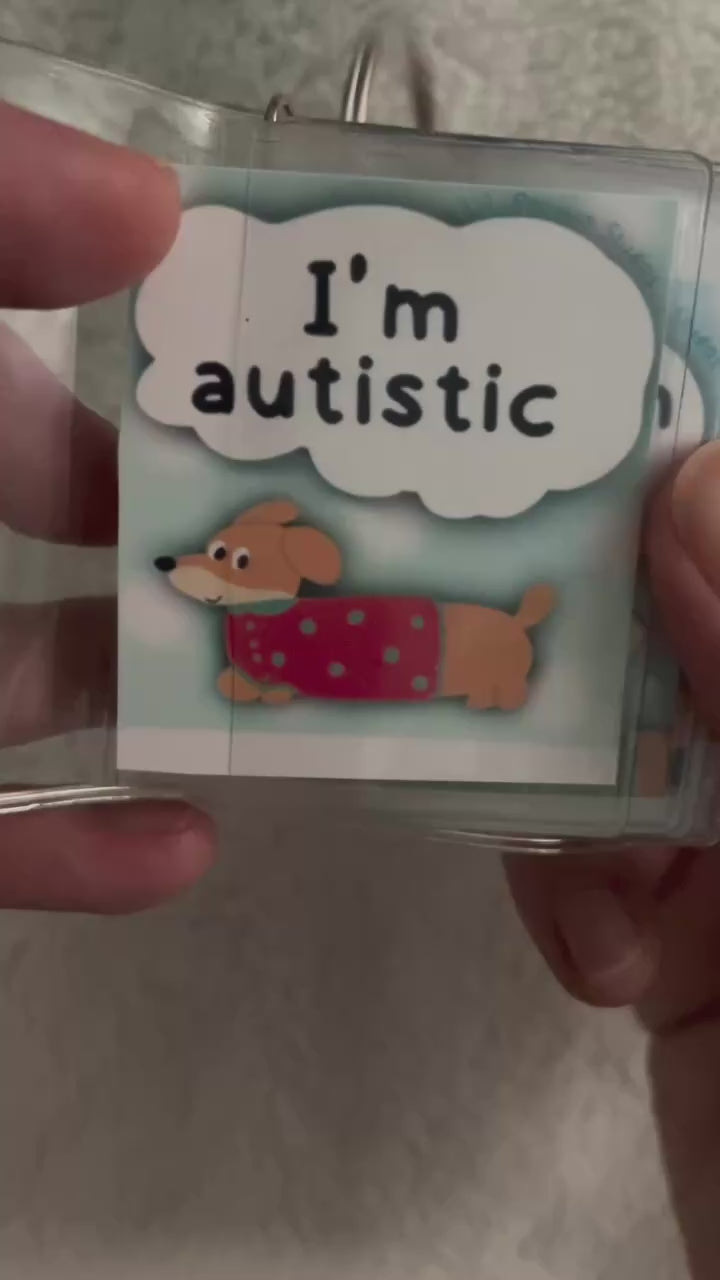 autism meltdown communication cards and affirmations
